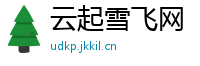 云起雪飞网